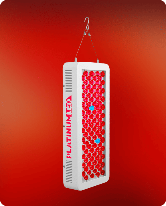 bio-300_3